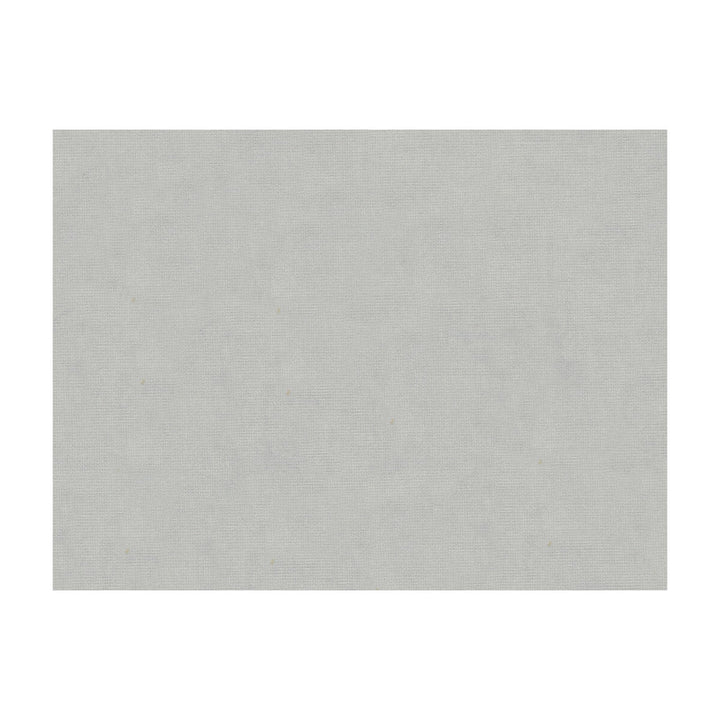 Charmant Velvet Silver by Brunschwig & Fils Fabric Brunschwig & Fils Fabric Charmant Velvet SilverFabric COTTON - 61%;VISCOSE - 39% Netherlands </p><p>Repeat: H: , V: 55 - Fabric Carolina -