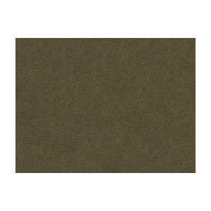 Brunschwig & Fils Fabric Charmant Velvet Ash