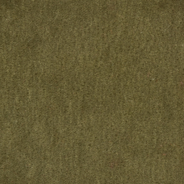 Bachelor Mohair Sage by Brunschwig & Fils Fabric Brunschwig & Fils Fabric Bachelor Mohair SageFabric COTTON - 54%;MOHAIR - 46% Netherlands </p><p>Repeat: H: , V: 55 - Fabric Carolina -