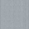 Brunschwig & Fils Fabric Chamas Stripe Blue