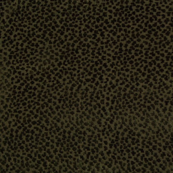 La Panthere Velvet Green by Brunschwig & Fils Fabric Brunschwig & Fils Fabric La Panthere Velvet GreenFabric LES ENSEMBLIERS VISCOSE - 64%;COTTON - 36% India </p><p>Repeat: H: 3.5, V: 3 54 - Fabric Carolina -