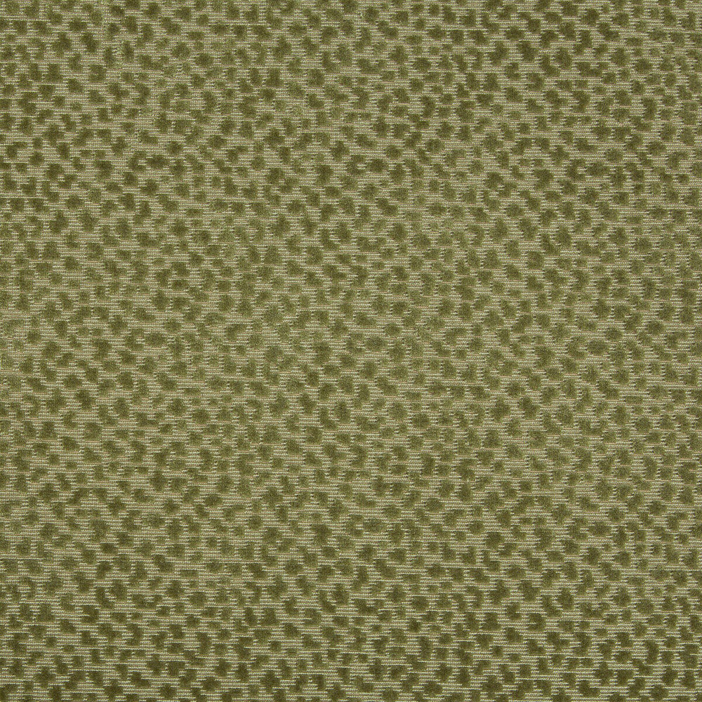 La Panthere Velvet Moss by Brunschwig & Fils Fabric Brunschwig & Fils Fabric La Panthere Velvet MossFabric LES ENSEMBLIERS VISCOSE - 64%;COTTON - 36% India </p><p>Repeat: H: 3.5, V: 3 54 - Fabric Carolina -