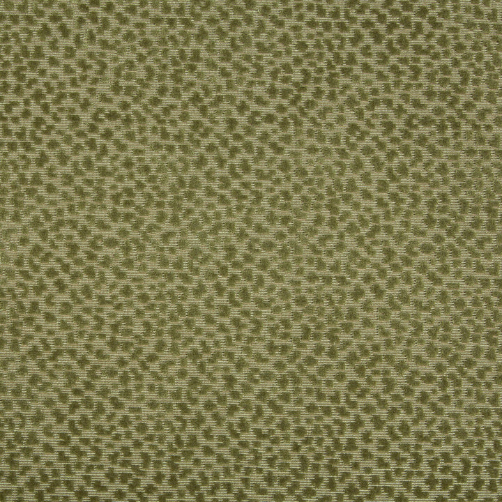La Panthere Velvet Moss by Brunschwig & Fils Fabric Brunschwig & Fils Fabric La Panthere Velvet MossFabric LES ENSEMBLIERS VISCOSE - 64%;COTTON - 36% India </p><p>Repeat: H: 3.5, V: 3 54 - Fabric Carolina -