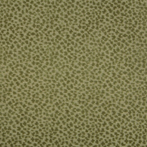 Brunschwig & Fils Fabric La Panthere Velvet Moss