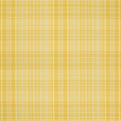 8019101.40.0 by Brunschwig & Fils Fabric Brunschwig & Fils Fabric 8019101.40.0Fabric NORMANT CHECKS AND STRIPES COTTON - 100% India </p><p>Repeat: H: 13.7, V: 13.6 53.5 - Fabric Carolina -