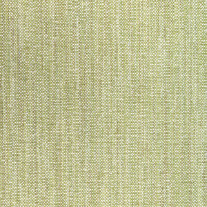 Brunschwig & Fils Fabric Rospico Plain Leaf