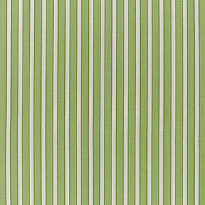 Brunschwig & Fils Fabric Rouen Stripe Green