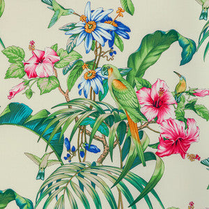 Brunschwig & Fils Fabric Anima Print Ivory
