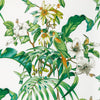 Brunschwig & Fils Fabric Anima Print Leaf