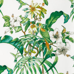 Brunschwig & Fils Fabric Anima Print Leaf