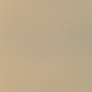 Brunschwig & Fils Fabric Pipet Texture Wheat 8023152.166.0