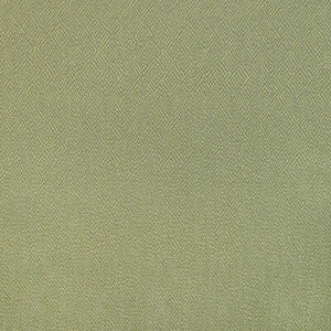 Brunschwig & Fils Fabric Pipet Texture Leaf 8023152.3.0