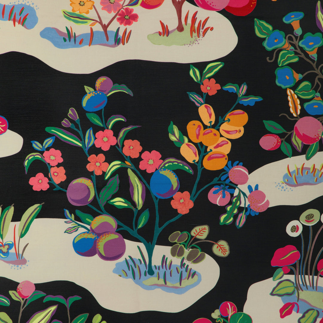 Brunschwig & Fils Fabric Pomelo Print - Noir