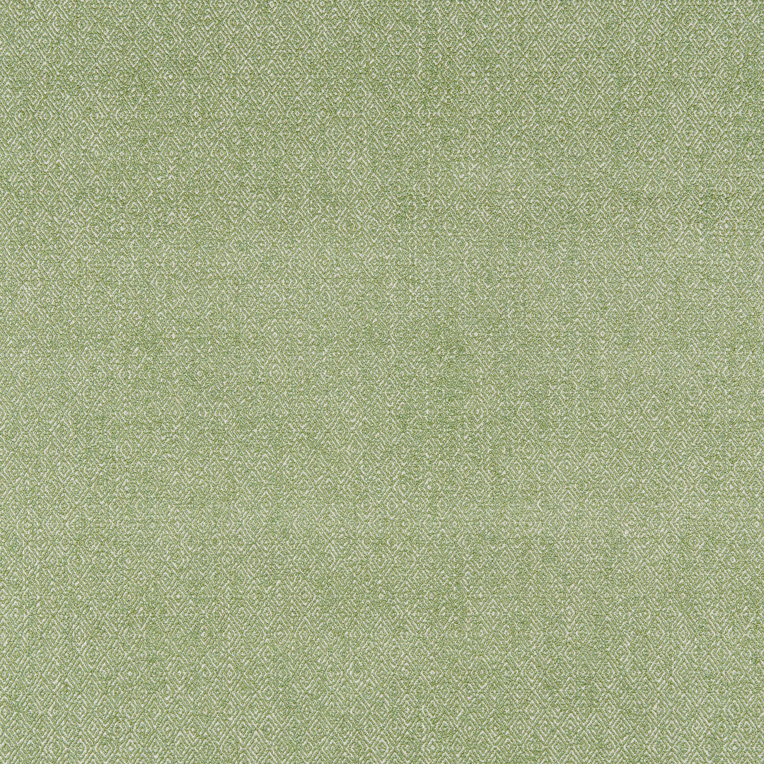 Brunschwig & Fils Fabric Allent Weave - Leaf
