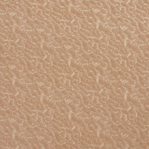 Charlotte Fabric 8059 Oat