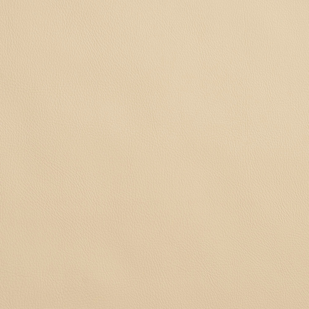 8065 Ivory by Charlotte Designer Fabric UltraHyde Face: Vinyl/Polyurethane, Back: Polyester Microsuede, 29oz. Asia Exceeds 2,000,000 Wyzenbeek Double Rubs (Heavy Duty) </p><p>Repeat: 54 Inches - Swanky Fabrics -