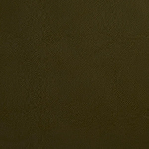 Charlotte Fabric 8068 Hunter