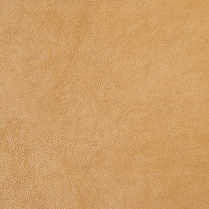 Charlotte Fabric 8069 Gold