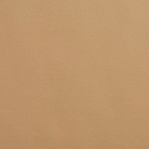 Charlotte Fabric 8079 Sandalwood