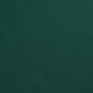 Charlotte Fabric 8080 Spruce