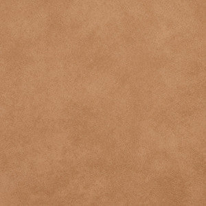 Charlotte Fabric 8086 Desert