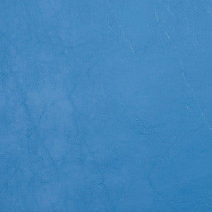 Charlotte Fabric 8090 Dresden
