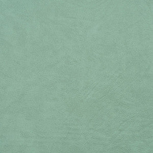 Charlotte Fabric 8100 Mint