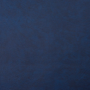 Charlotte Fabric 8101 Navy