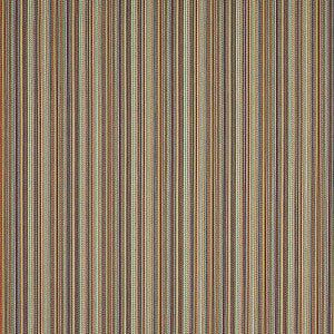 Schumacher Fabric Fino Stripe Indoor/Outdoor Multi 81072