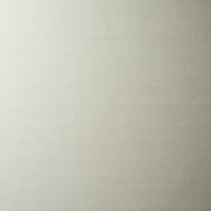 Schumacher Fabric Vegan Suede Oyster 81135