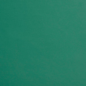 Charlotte Fabric 8209 Seamist