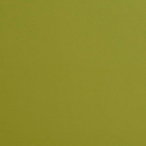 Charlotte Fabric 8211 Apple