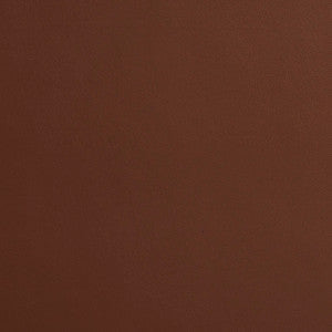 Charlotte Fabric 8212 Mocha