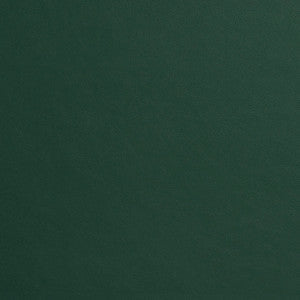 Charlotte Fabric 8218 Spruce