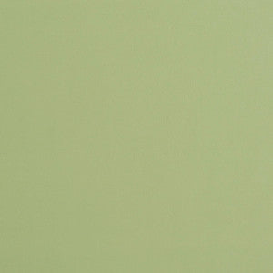 Charlotte Fabric 8226 Mint