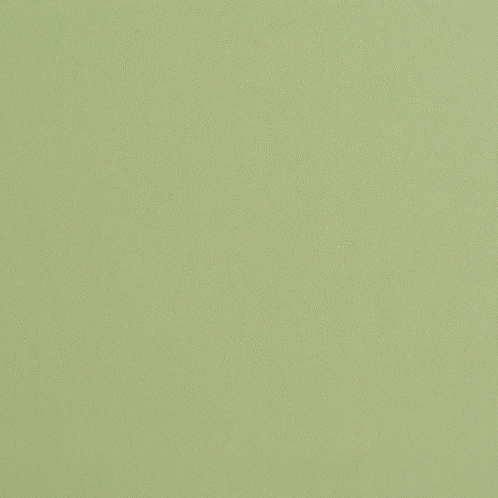 8226 Mint by Charlotte Designer Fabric UltraHyde II Face: Vinyl/Polyurethane, Back: Polyester Microsuede, 29oz. Asia Exceeds 2,000,000 Wyzenbeek Double Rubs (Heavy Duty) </p><p>Repeat: 54 Inches - Swanky Fabrics -