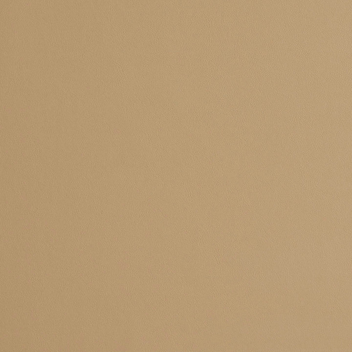 8231 Sand by Charlotte Designer Fabric UltraHyde II Face: Vinyl/Polyurethane, Back: Polyester Microsuede, 29oz. Asia Exceeds 200,000 Wyzenbeek Rubs (Heavy Duty) No Repeat 54 Inches - Swanky Fabrics -