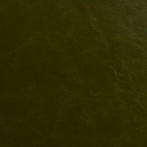 Charlotte Fabric 8241 Moss