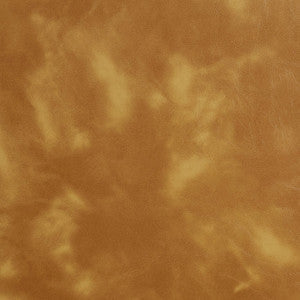 Charlotte Fabric 8244 Honey