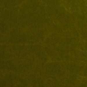 Charlotte Fabric 8252 Fern