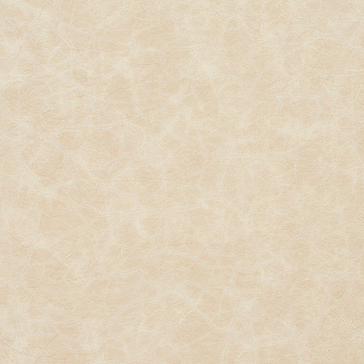8288 Oyster by Charlotte Designer Fabric Breathables III 70% Polyester, 23% Polyurethane, 7% Leather, 26oz. Asia Exceeds 200,000 Wyzenbeek Rubs (Heavy Duty) No Repeat 54 Inches - Swanky Fabrics -