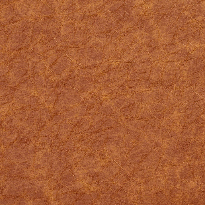 8290 Caramel by Charlotte Designer Fabric Breathables III 70% Polyester, 23% Polyurethane, 7% Leather, 26oz. Asia Exceeds 2,000,000 Wyzenbeek Double Rubs (Heavy Duty) </p><p>Repeat: No Repeat 54 Inches - Swanky Fabrics -