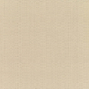 Sunbrella Fabric 8300 77 Champagne Linen