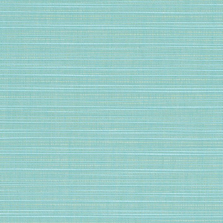 8067 77 Rain Dupione Celeste by Sunbrella Designer Fabric Sunbrella Rain 100% SunbrellaÂ® Acrylic USA or Imported 5-Year Horizontal: and Vertical: 60 yd. 54 in. - Swanky Fabrics -