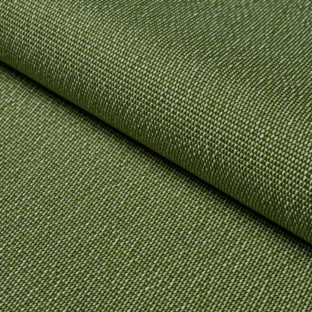 Schumacher Fabric Cooper Indoor/Outdoor - Green
