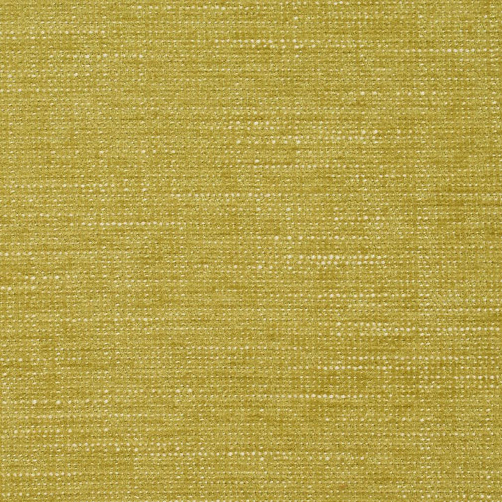 8438 Citrus by Charlotte Designer Fabric Crypton Home 100% Woven Polyester Asia Exceeds 100,000 Wyzenbeek Rubs (Heavy Duty) No Repeat 54 Inches - Swanky Fabrics -