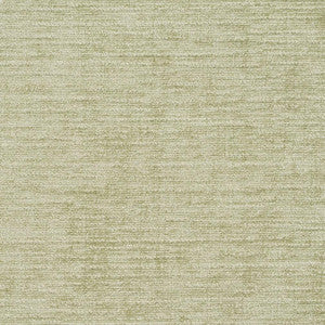 Charlotte Fabric 8454 Spearmint