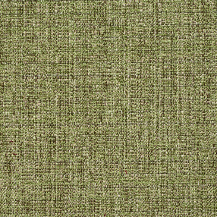8461 Meadow by Charlotte Designer Fabric Crypton Home 100% Woven Polyester Asia Exceeds 100,000 Wyzenbeek Rubs (Heavy Duty) No Repeat 54 Inches - Swanky Fabrics -