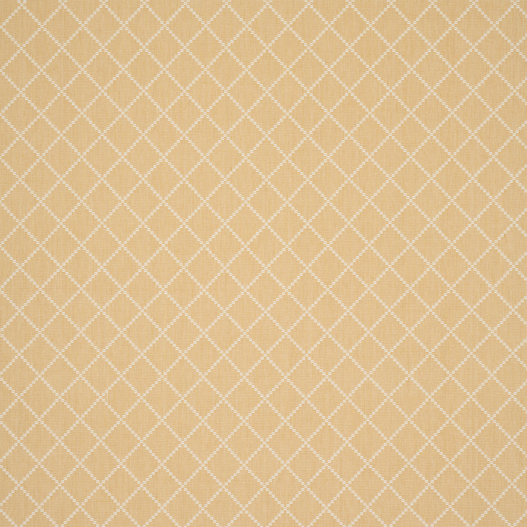 Schumacher Fabric Liam - Yellow