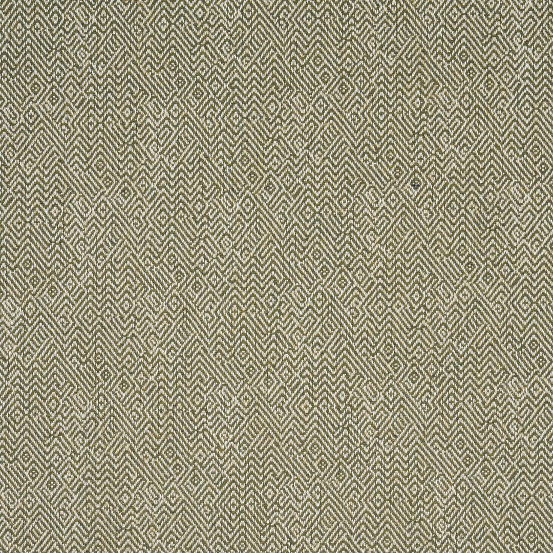 Schumacher Fabric Leona Performance - Green